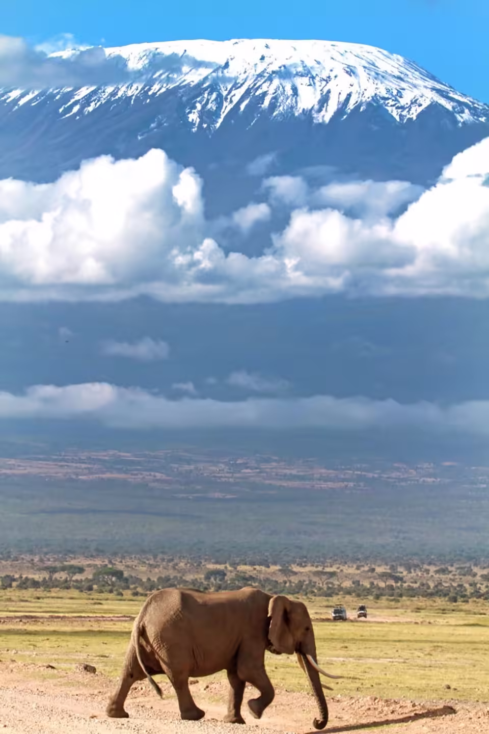 Kilimanjaro rising above the Amboseli plains at dawn
