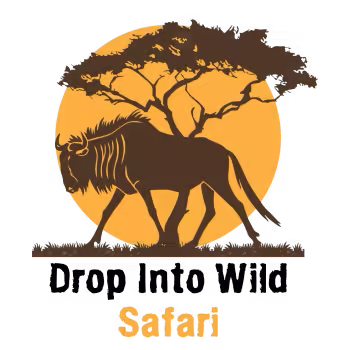 Drop Into Wild Safaris logo