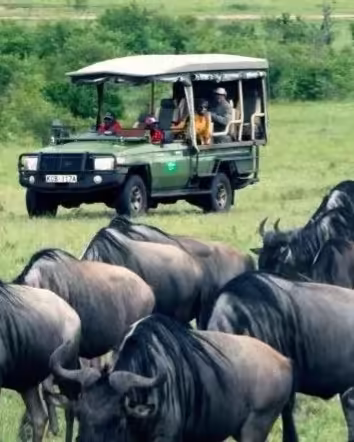 Open-sided 4x4 game viewer on the Masai Mara plains at golden hour